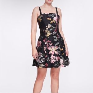 Marchesa Notte Fils Coupé Flared Mini Dress with pockets 🩷